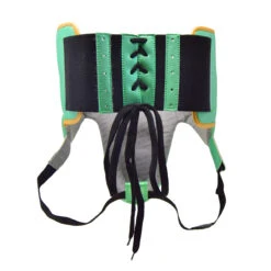 RNFL100 Professional Protector With Laces -RIVAL BOXING SHOP RNFL100 GREEN GOLD C