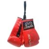 Autograph Boxing Gloves With Logo - Synthetic -RIVAL BOXING SHOP rag 02 red