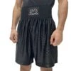 Dazzle Pro Boxing Trunks 1 Dazzle Pro Boxing Trunks -RIVAL BOXING SHOP rap tr 03 black 01