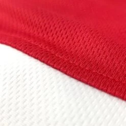 Amateur Competition-Training Boxing Trunks -RIVAL BOXING SHOP rap tr30 red 01