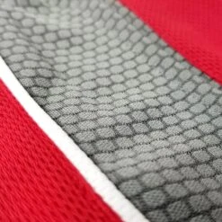 Amateur Competition-Training Boxing Trunks -RIVAL BOXING SHOP rap tr30 red 02